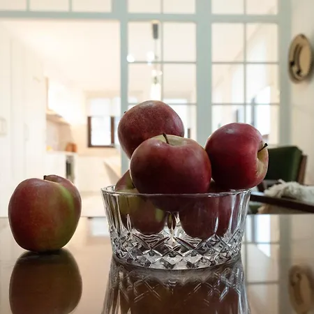 公寓 21 Villa Vitosha Hills View *