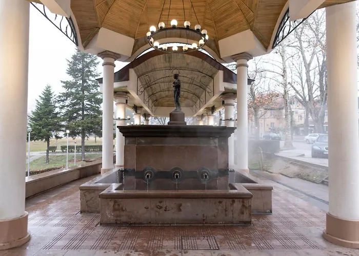 21 Vitosha Hills View Chisaria