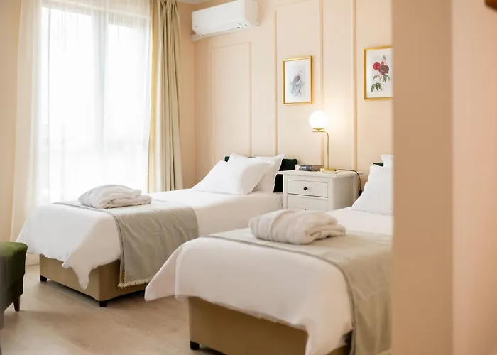 21 Vitosha Hills View Chisaria